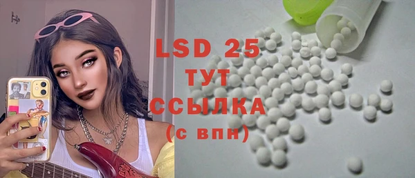ECSTASY Алзамай
