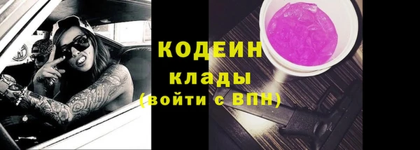 шишки Нея